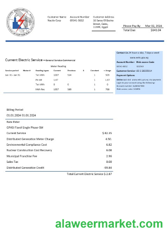 Egypt Egyptian Electricity business utility bill template in Word and pdf formats